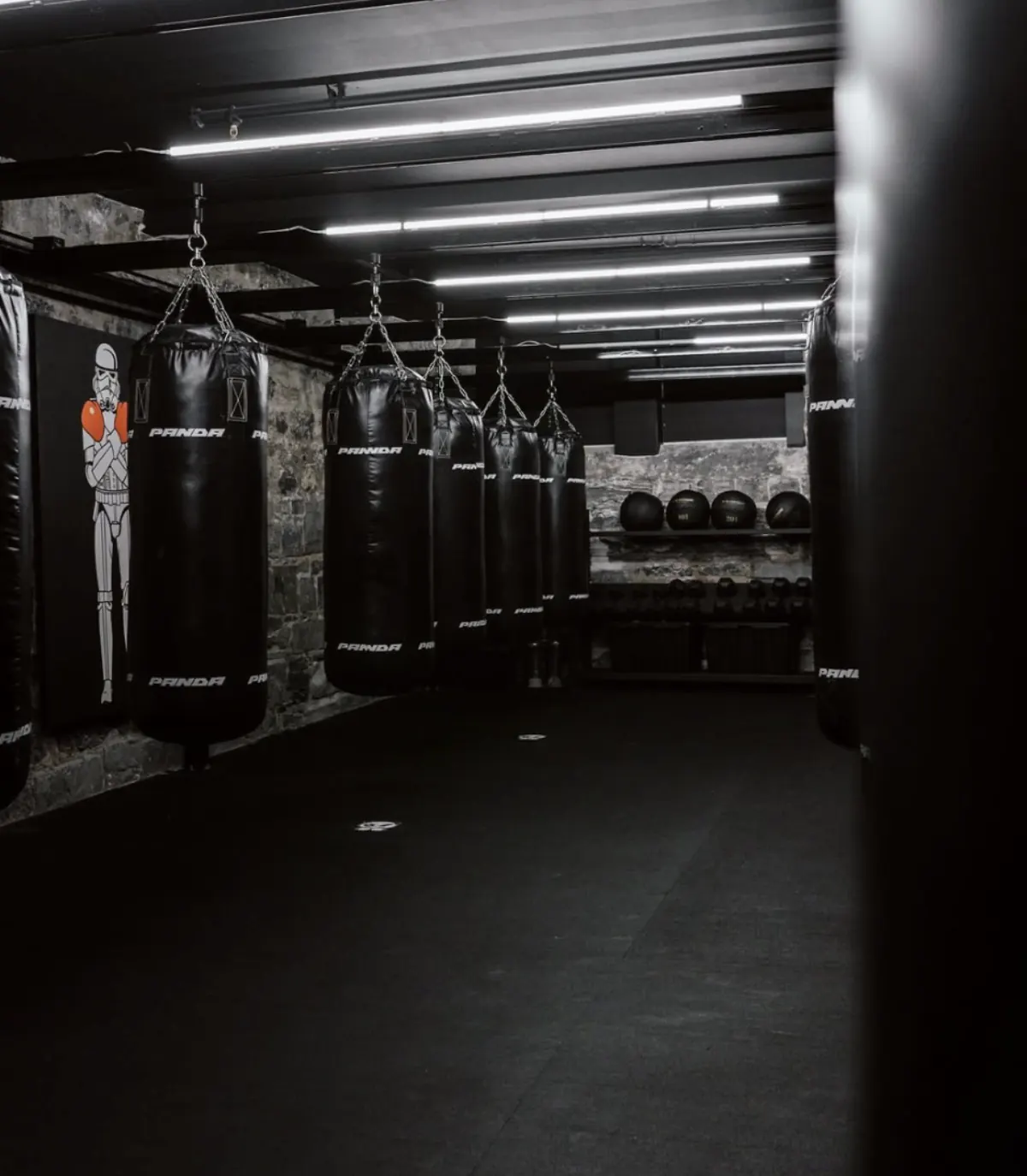 Boxing Classes in Montreal | Panda Boxing